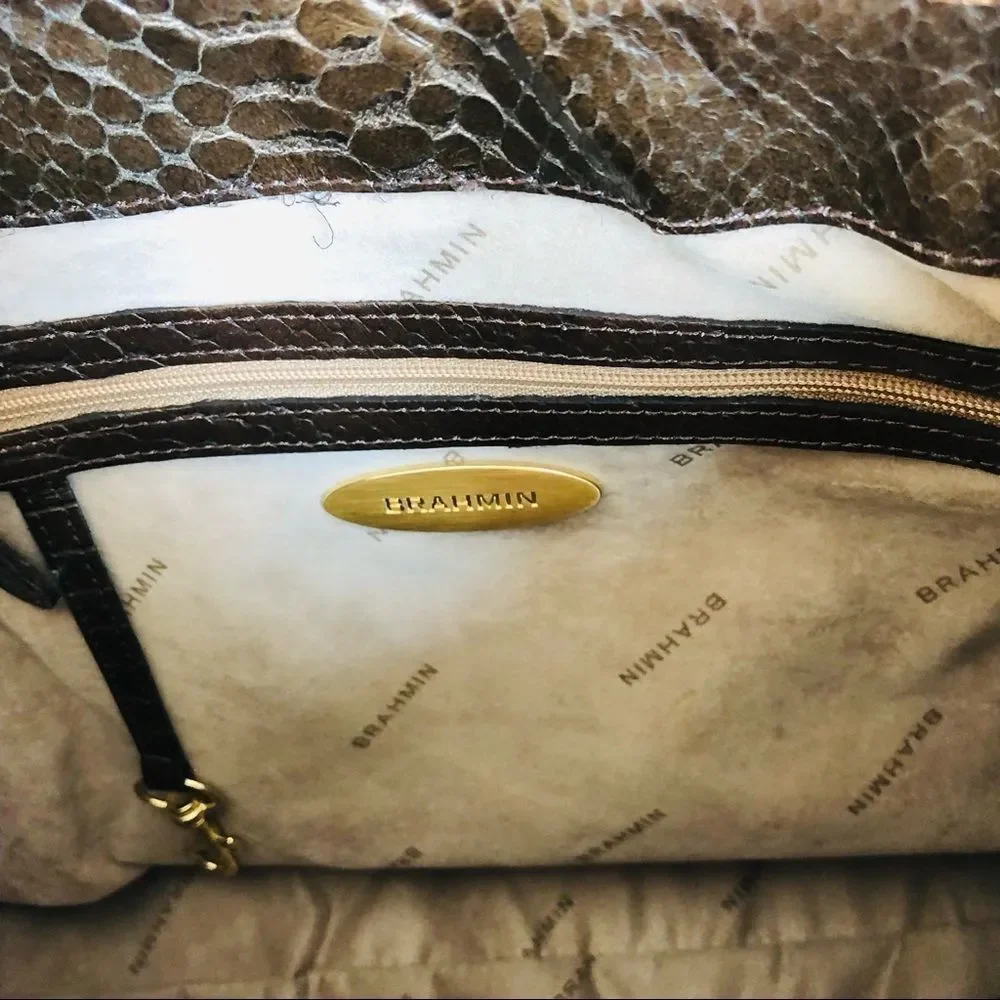 Brahmin new dust